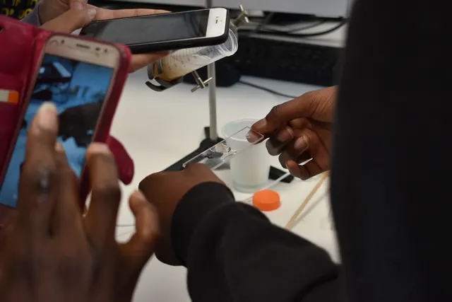 Summer School 2019 — Bridging the Future at University College London